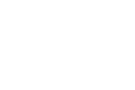 Crime Investigation